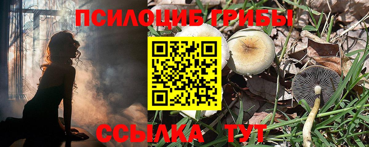 Галлюциногенные грибы ЛСД Рассказово