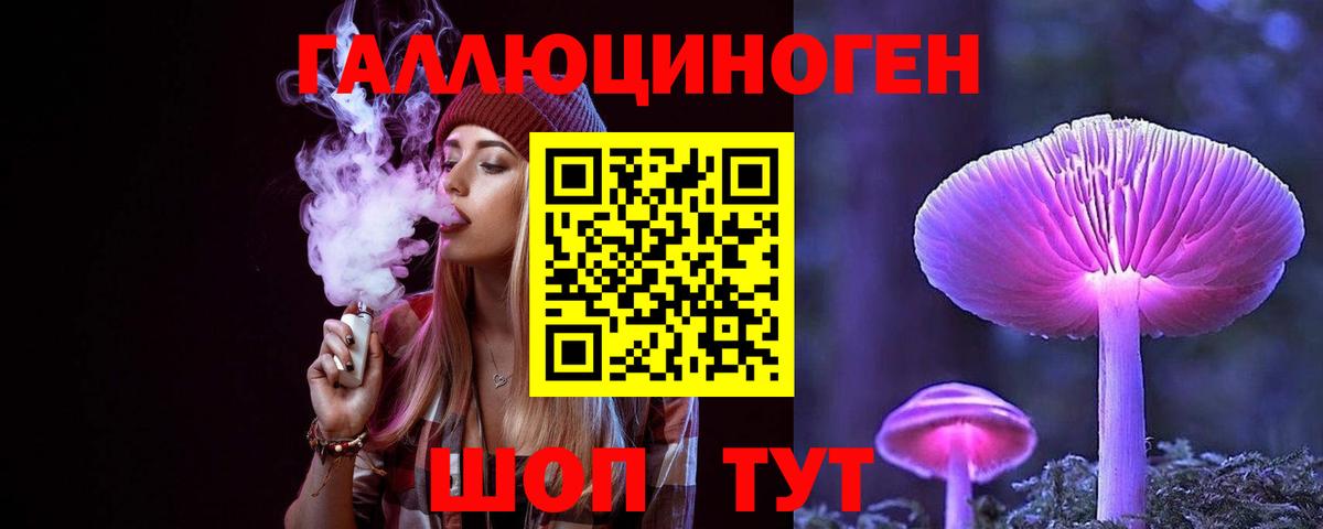 Псилоцибиновые грибы прущие грибы  Вход с VPN  Рассказово  Псилоцибиновые грибы Psilocybe 